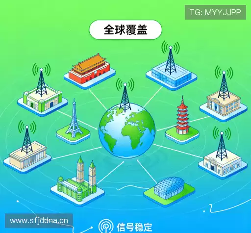 为什么选择我们